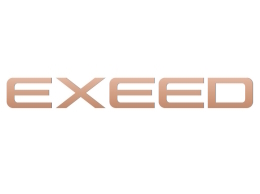 Товары для авто марки Exeed